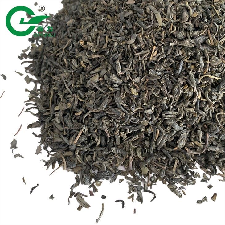 Camellia Sinensis yashil choyi
