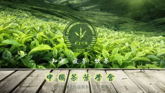Birinchi Xalqaro Shaoxing (Shenchjou) yashil choy konferentsiyasining ochilis...