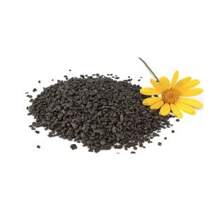 Organik porox yashil choyi